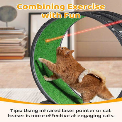Purrfect Pet Kingdom Cat Treadmill for Active Cats Purrfect Pet Kingdom