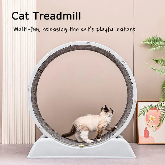 Tail Chasers Cat Treadmill for indoor cats designed for playful exercise and fun activity