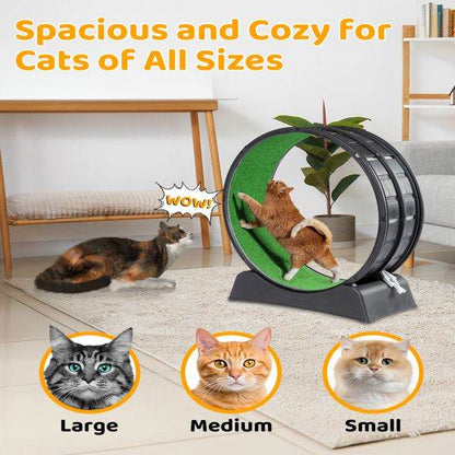 Purrfect Pet Kingdom Cat Treadmill for Active Cats Purrfect Pet Kingdom