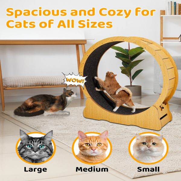 Purrfect Pet Kingdom Cat Treadmill with Wooden Frame Purrfect Pet Kingdom