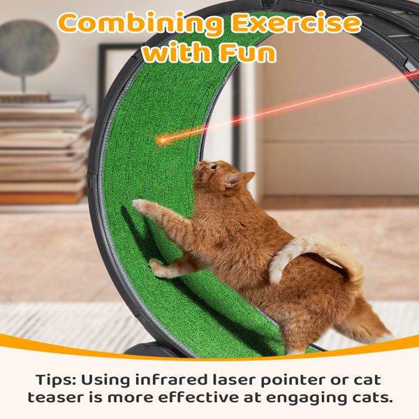 Purrfect Pet Kingdom Cat Treadmill Wheel for Active Cats Purrfect Pet Kingdom
