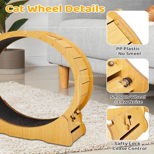Purrfect Pet Kingdom Cat Treadmill with Wooden Frame Purrfect Pet Kingdom