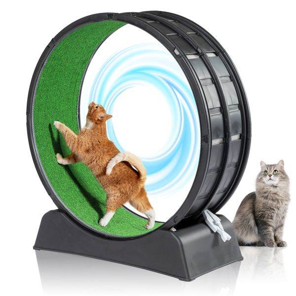 Purrfect Pet Kingdom Cat Treadmill Wheel for Active Cats as picture Purrfect Pet Kingdom