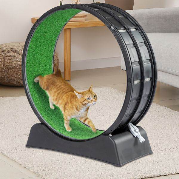 Purrfect Pet Kingdom Cat Treadmill Wheel for Active Cats Purrfect Pet Kingdom