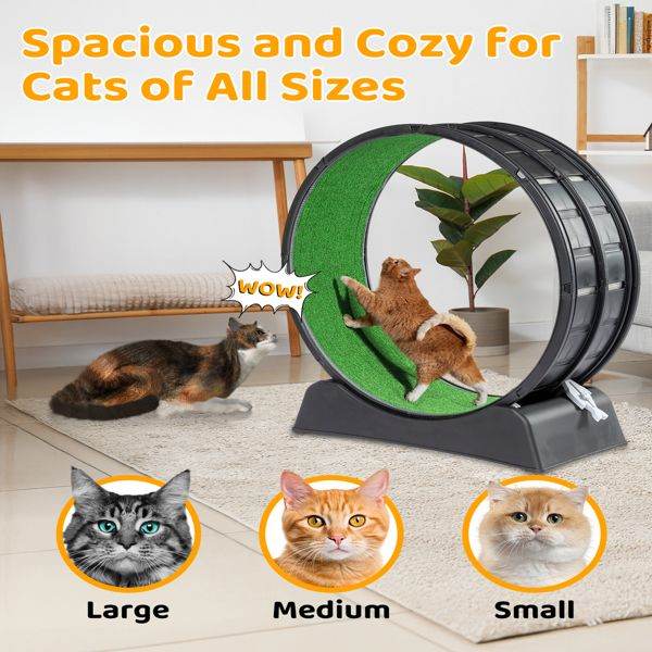 Purrfect Pet Kingdom Cat Treadmill Wheel for Active Cats Purrfect Pet Kingdom