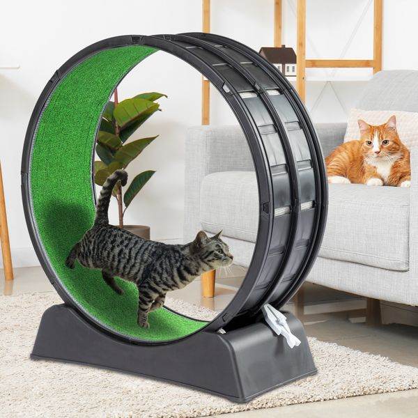 Purrfect Pet Kingdom Cat Treadmill Wheel for Active Cats Purrfect Pet Kingdom