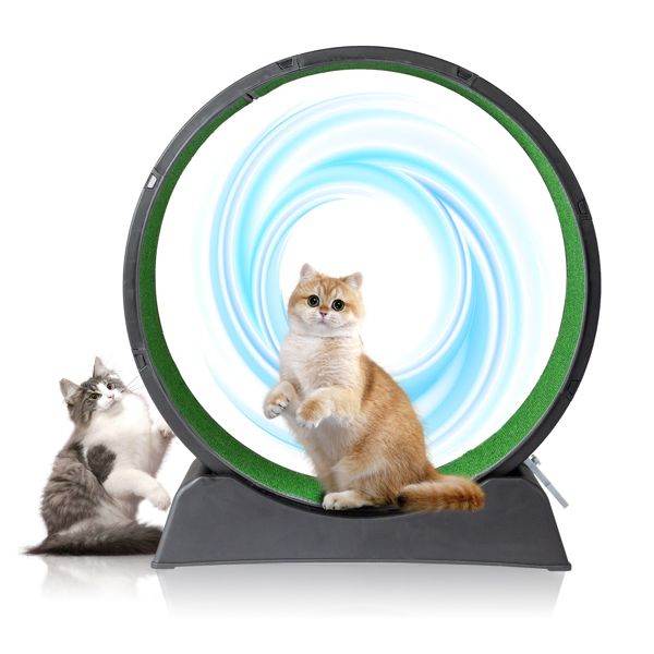 Purrfect Pet Kingdom Cat Treadmill Wheel for Active Cats Purrfect Pet Kingdom