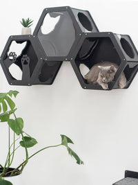 Wall Mount Cat Shelves Black