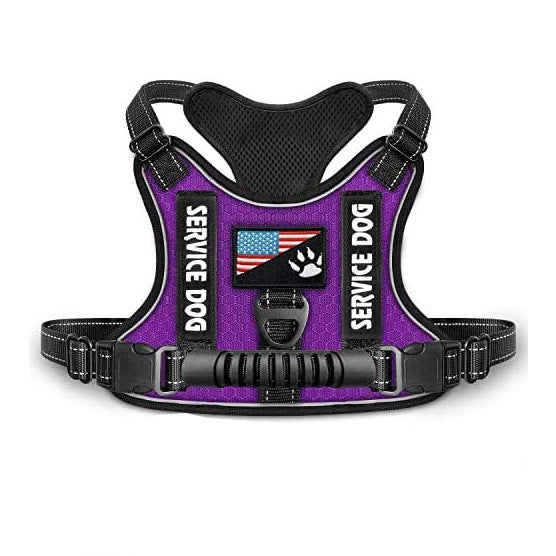 Shock Absorption Comfortable Night Vision Reflective Pet