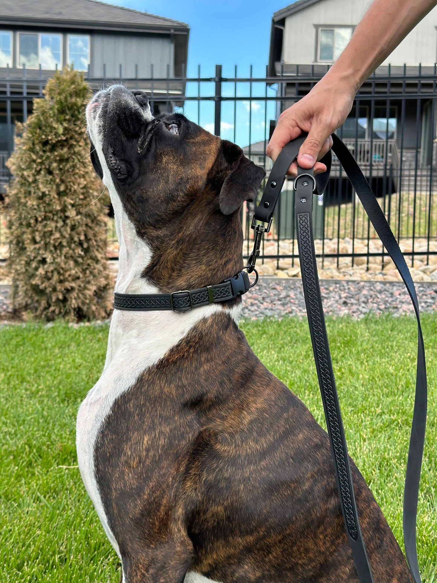 Celtic Sport Midnight Black Leather Dog Leash by Euro-Dog Collars and Leads, showcasing a sleek black design, perfect for ...