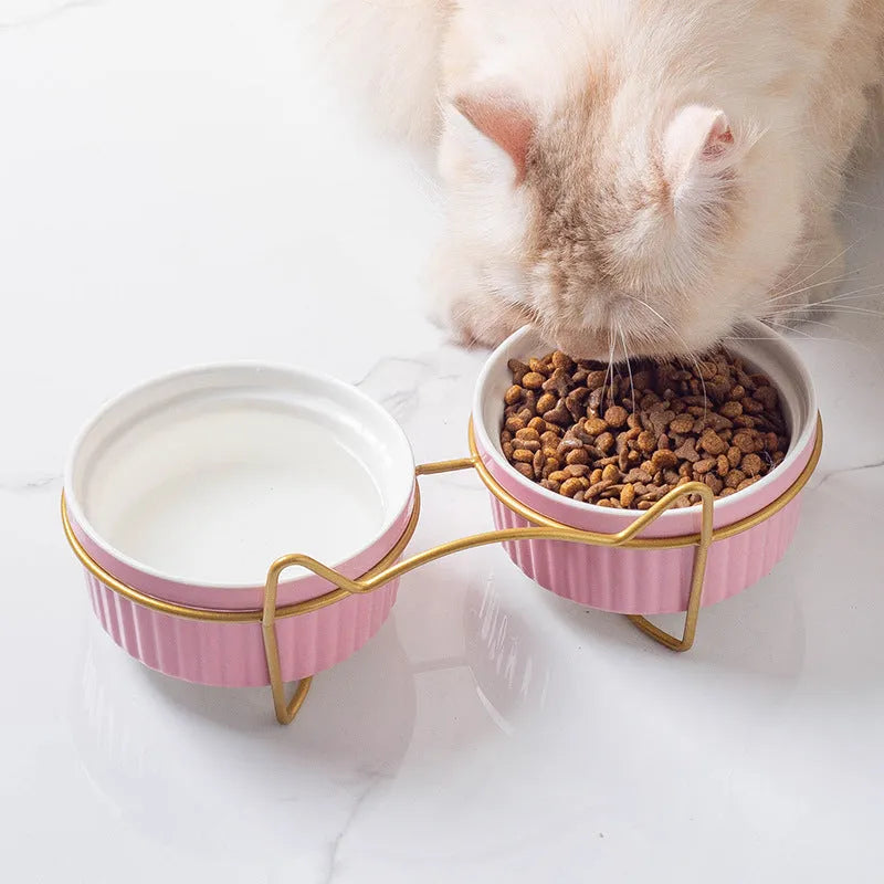 Ceramic Elevated Cat Bowl by Pet Zen in Gorgeous Pink with Double Bowl Gold Bracket, ideal for cervical spine relief support.