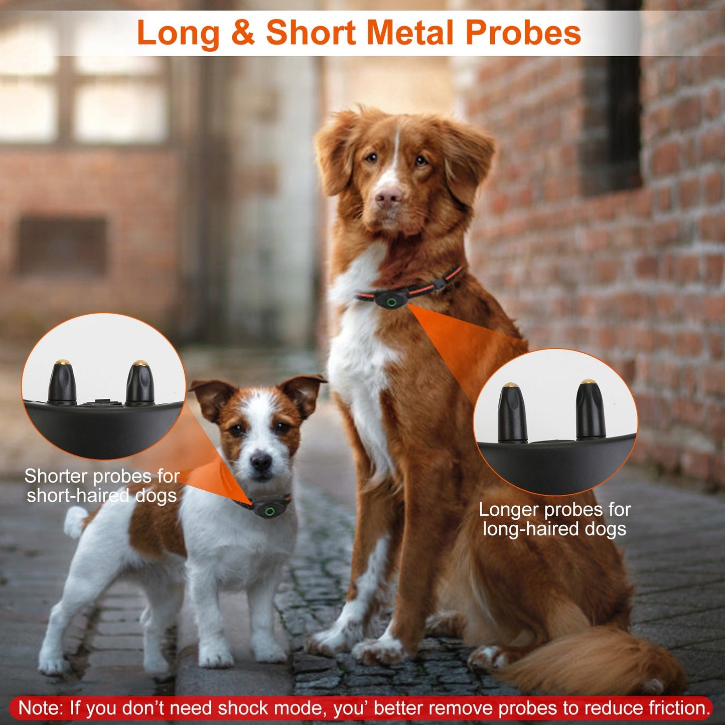 GBruno IPX7 Waterproof Dog Training Collar