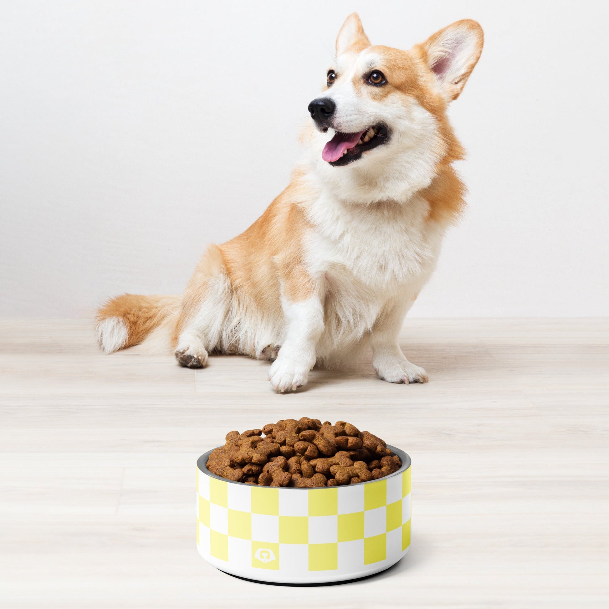 Checker Lemontart 32oz Dog Bowl - Dog Bowls & Feeders - Wuforia