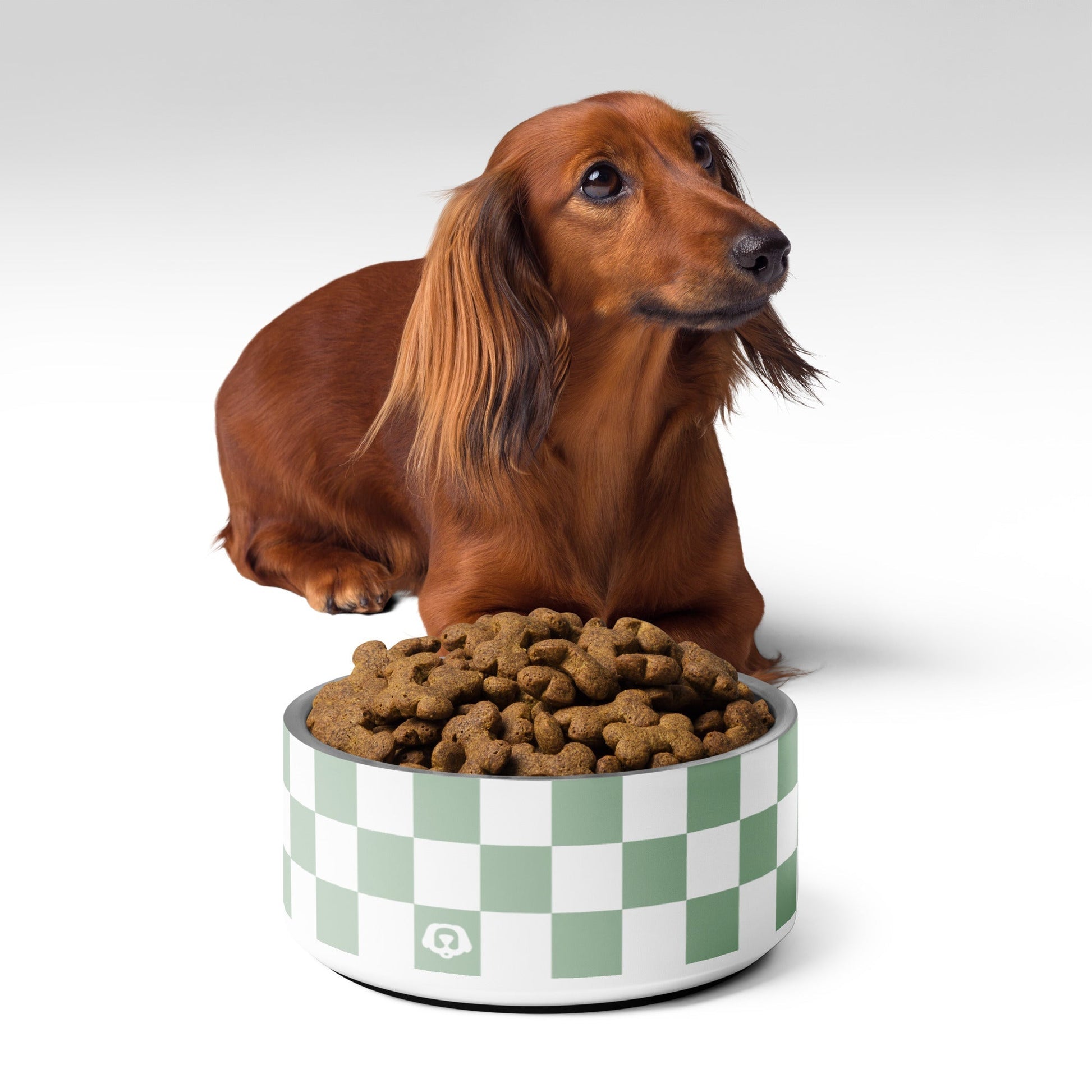 Checker Sage 32oz Dog Bowl - Dog Bowls & Feeders - Wuforia