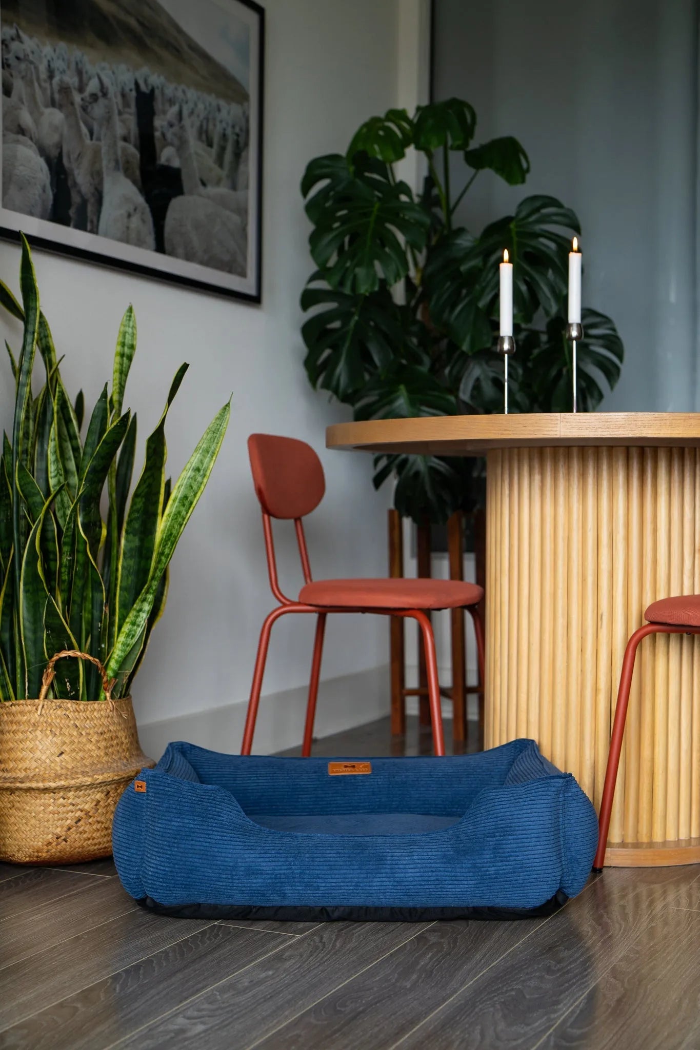 Chester & Lee - Chester & Lee | Fancy Corduroy Sleeper Dog Bed Blue