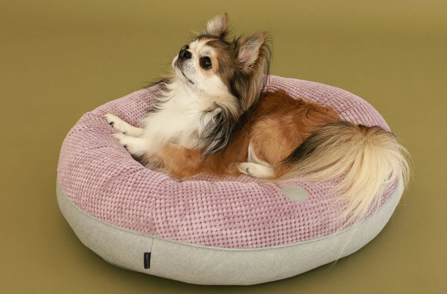 Chester & Lee - Chester & Lee | Light Pink Donut Dog Bed