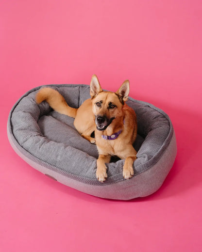 Chester & Lee Furry Bagel Dog Bed in plush fabric, available in L for $245 or XL for $295, perfect for dogs and cats.