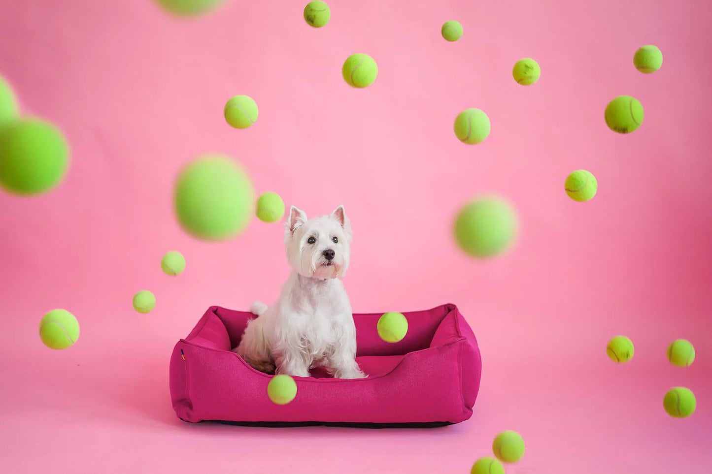 Chester & Lee - Purrfect Pet Kingdom Cotton Sleeper Dog Bed - Pink - Beds