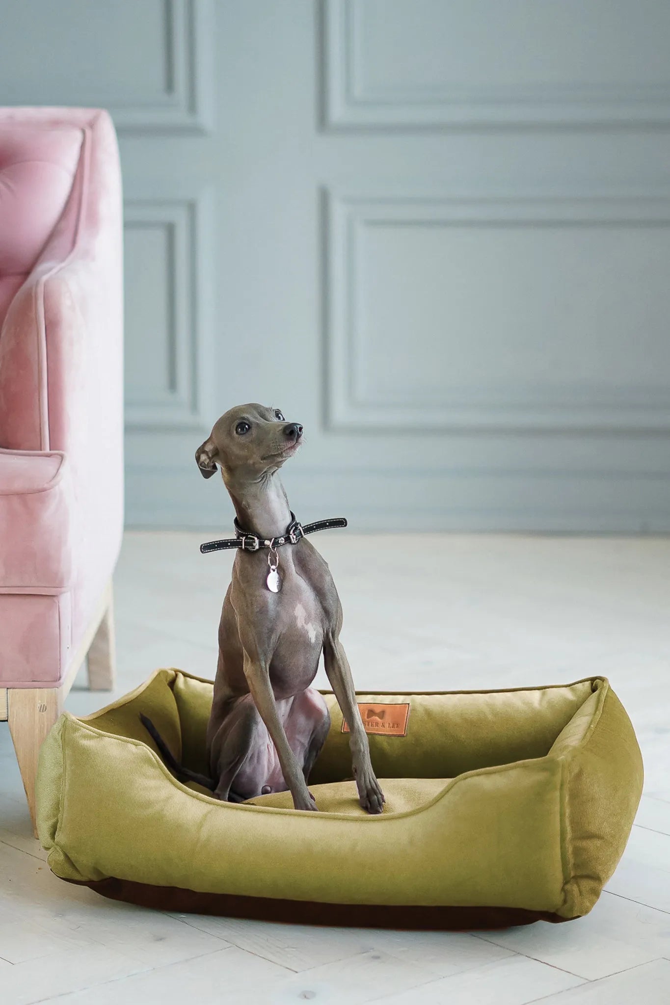 Chester & Lee - Vibrant Velvet Sleeper Dog Bed Olive - Bolster Beds