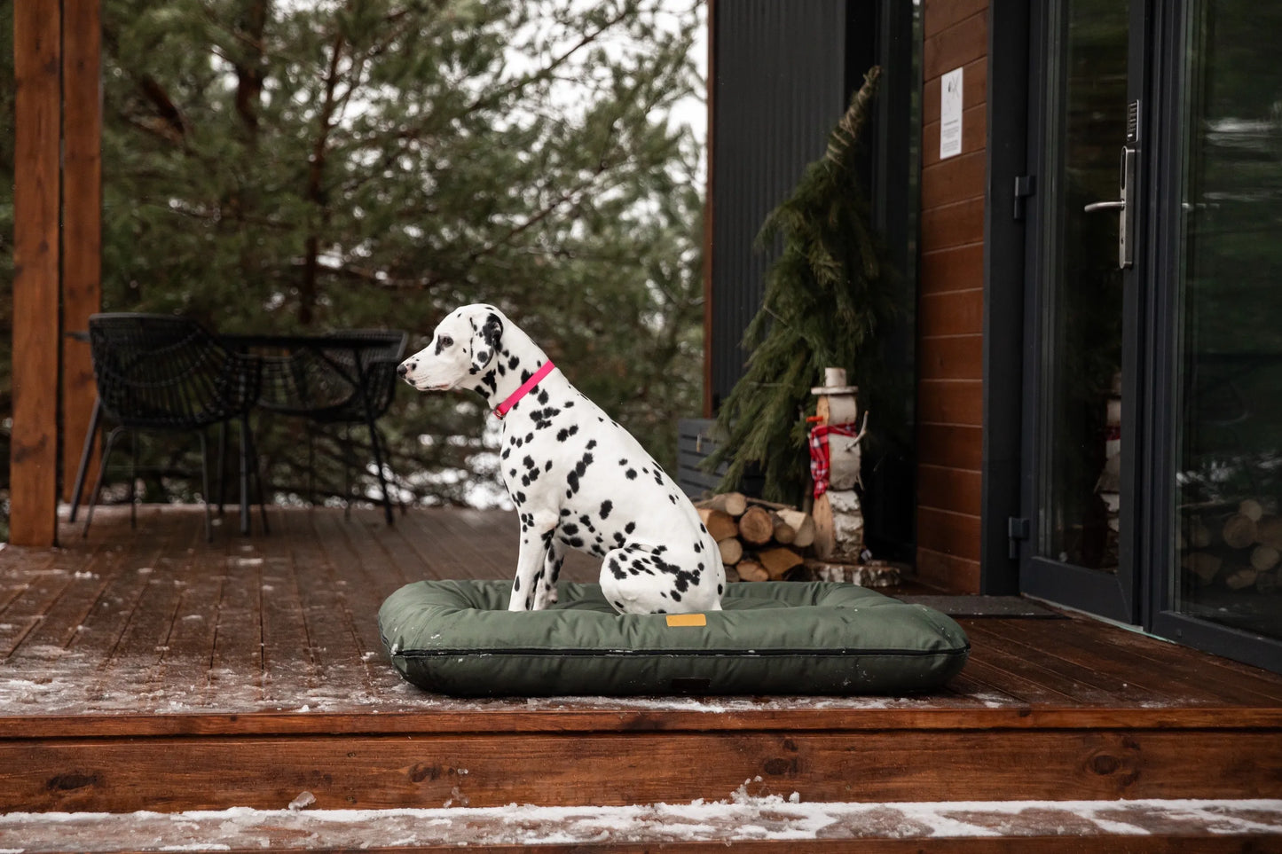 Chester & Lee - Waterproof Lounger Dog Bed Green