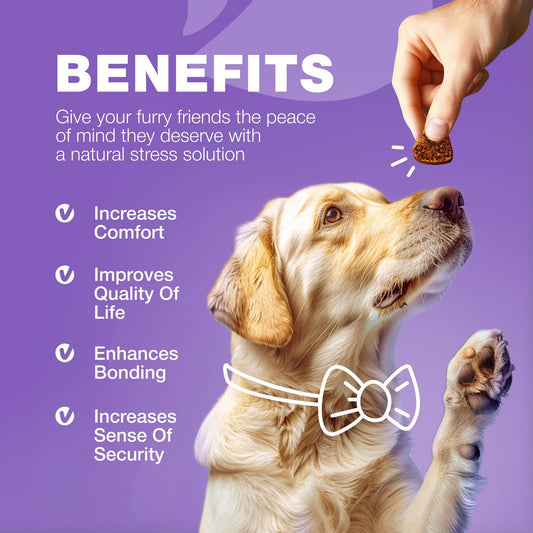 Purrfect Pet Kingdom Hip and Joint Supplement for Dogs - 180 Soft Chews Purrfect Pet Kingdom