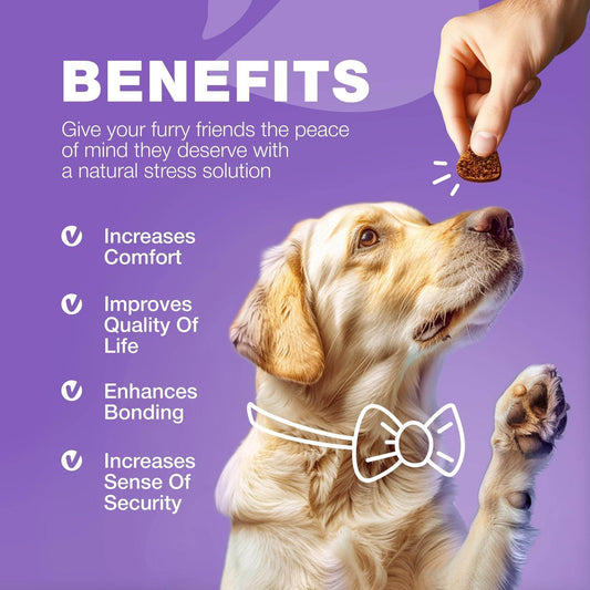 Purrfect Pet Kingdom Multivitamin Chews for Dogs - 180 Soft Chews Purrfect Pet Kingdom