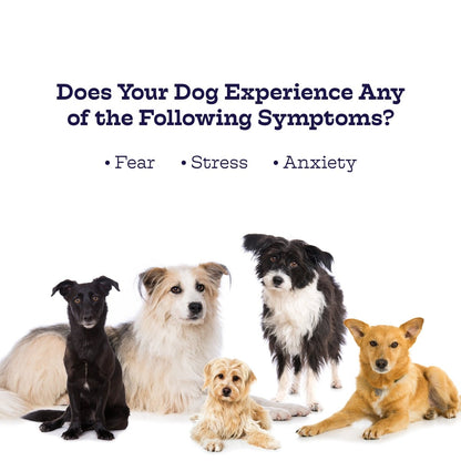 Chillout Chews - Moe's Healthy Pets
