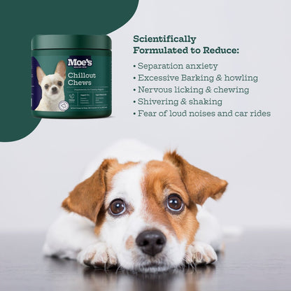 Chillout Chews - Moe's Healthy Pets