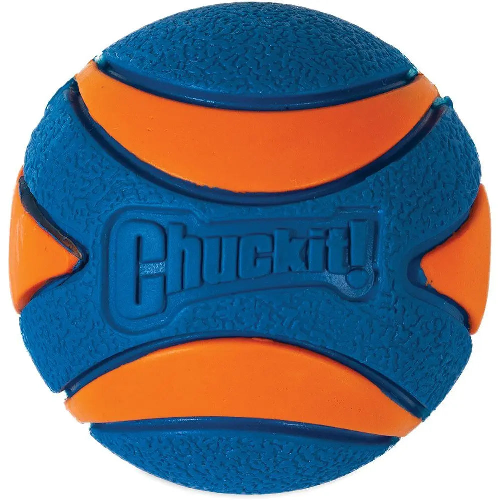 Chuckit Ultra Squeaker ball designed for playful dogs, featuring a durable and colorful design