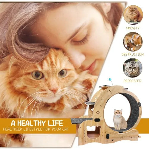 CJ Dropshipping - Cat Wheel 6-in-1 Cat Fitness Wheel - Steps & Ramps