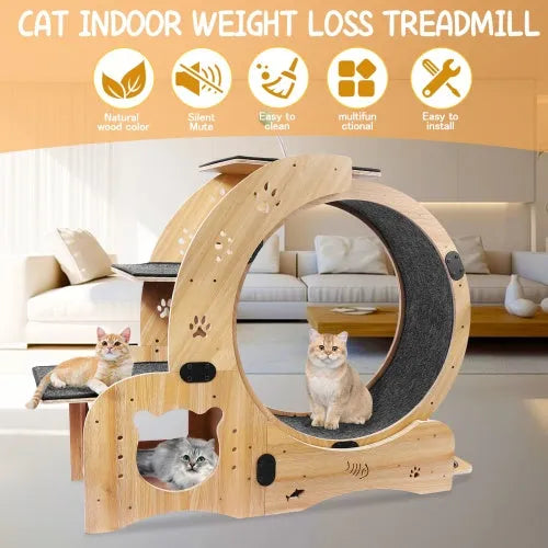 CJ Dropshipping - Cat Wheel 6-in-1 Cat Fitness Wheel - Steps & Ramps