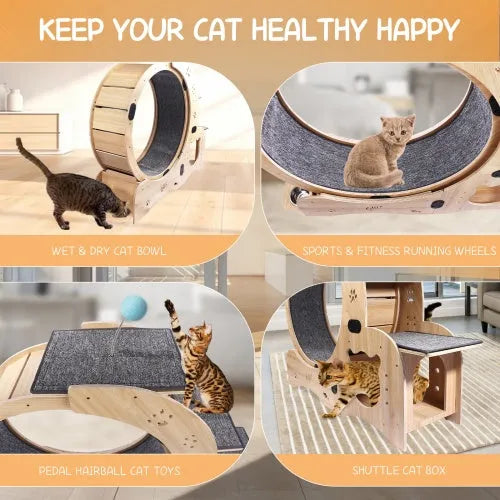 CJ Dropshipping - Cat Wheel 6-in-1 Cat Fitness Wheel - Steps & Ramps