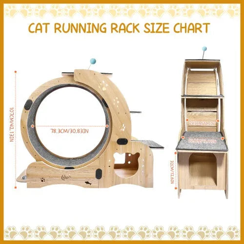 CJ Dropshipping - Cat Wheel 6-in-1 Cat Fitness Wheel - Steps & Ramps