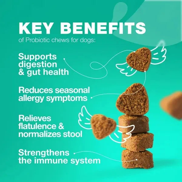 Cj Dropshipping - Dog Probiotic Chews - Digestive Enzymes for Gut & Immunity - 5