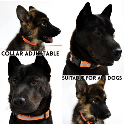 Cj Dropshipping - Reflective Leash Set It Can Reflect Light Sources - 5
