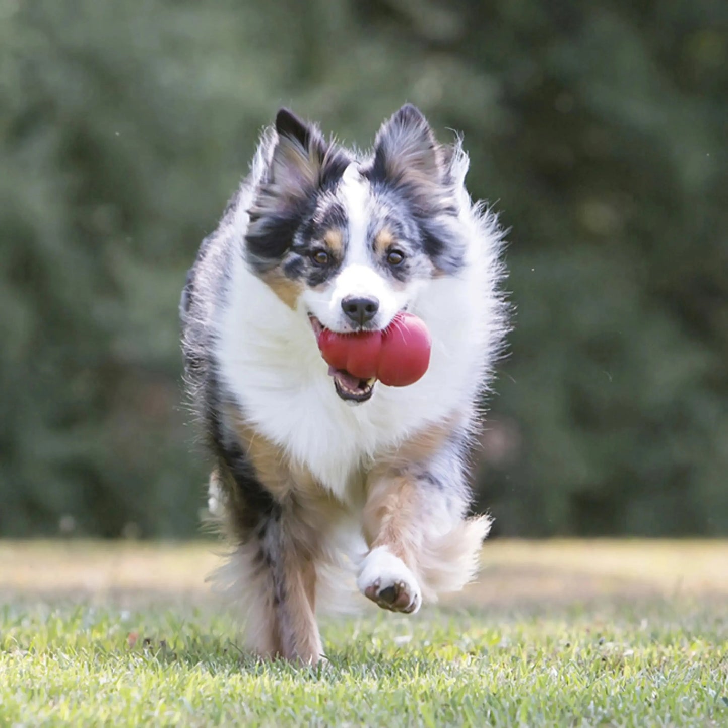 Classic Stuffed Dog Chew Toy, XL by K9 Outdoors in vibrant colors, designed for durable play and chewing enjoyment.
