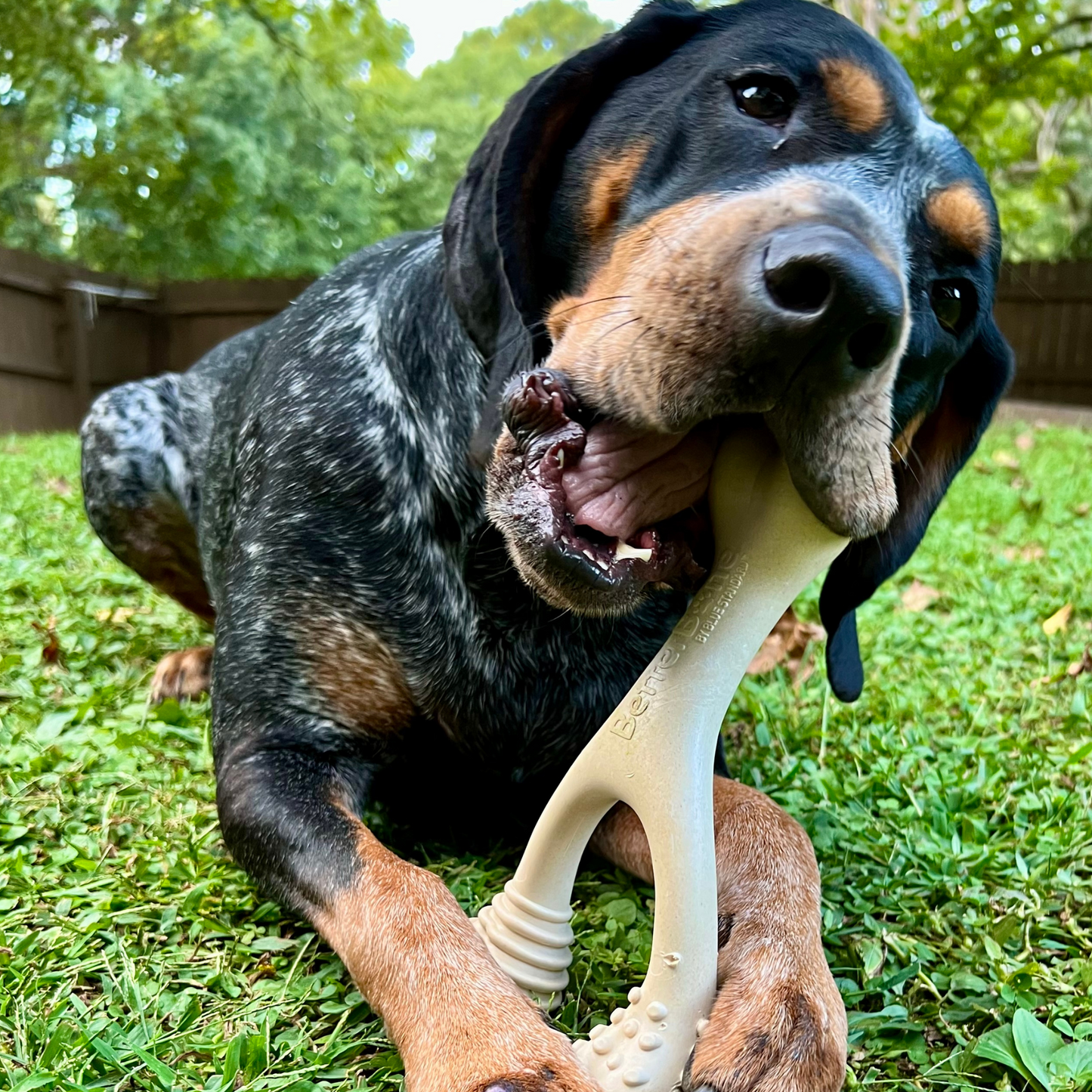 The Better Bone Natural Dog Bone BetterBone CLASSIC - All Natural, Non-Toxic, Safer on Teeth, Soft, Puppy, Dog Chew-NYLON FREE