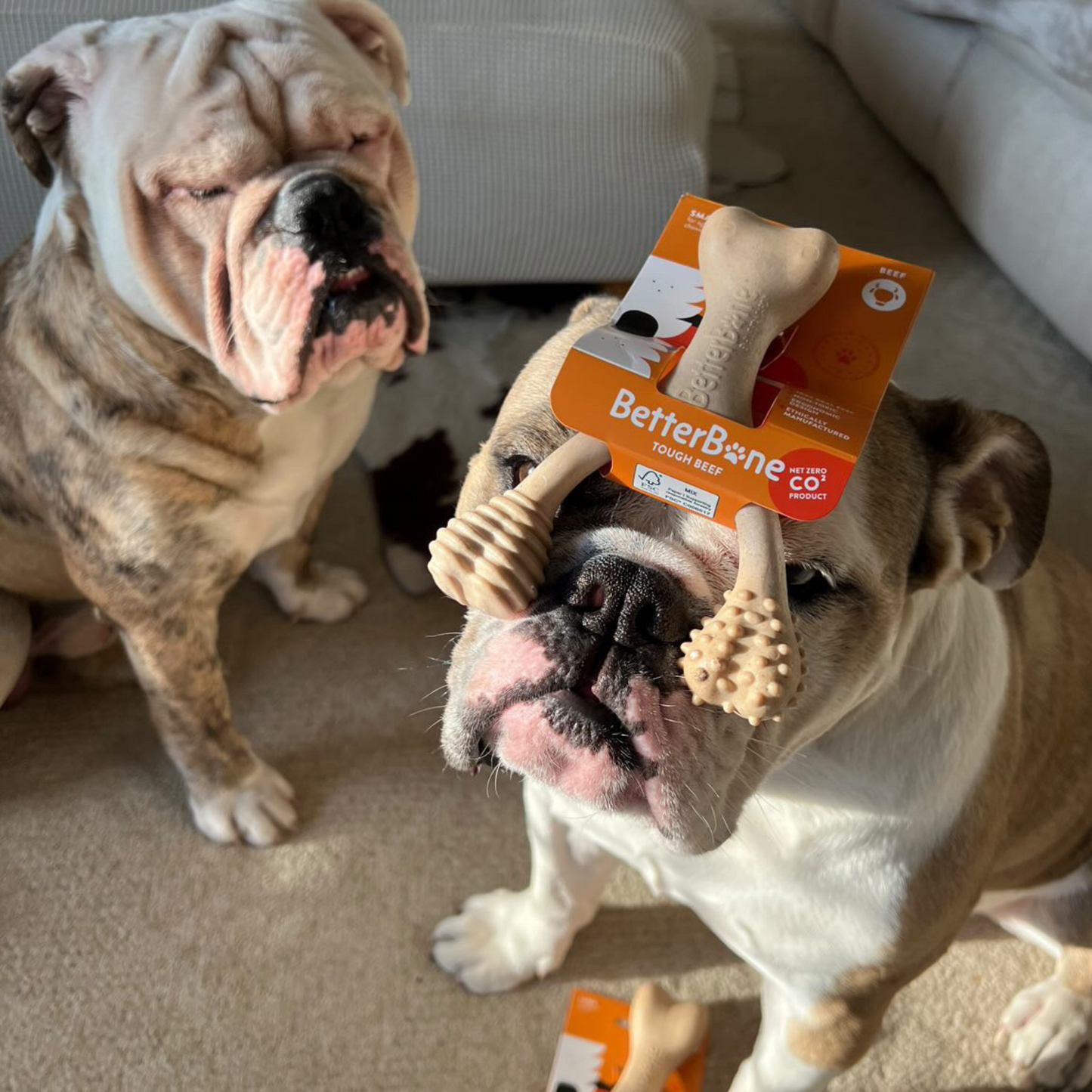 The Better Bone Natural Dog Bone BetterBone TOUGH - Durable All-Natural, Food-Grade, No Nylon, Non-Toxic, Puppy, Dog Chews - For Aggressive Chewers.