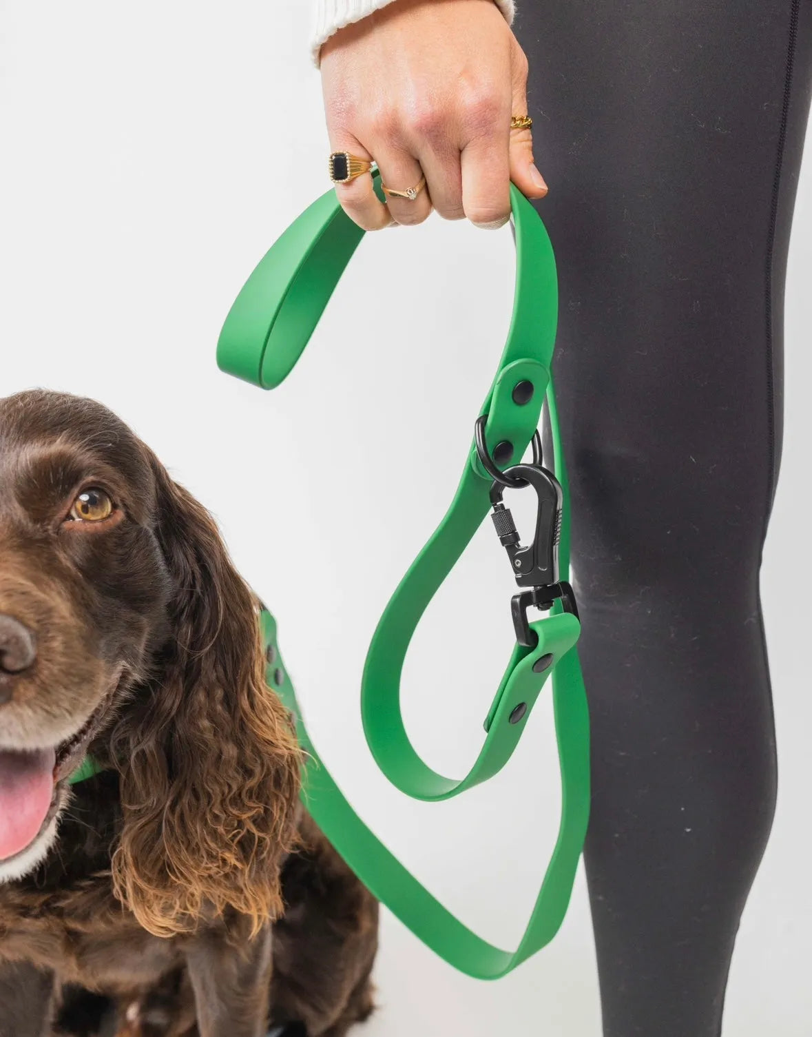 Clover Green Leash by The Modern Dog Company Store, available in Standard and Large sizes, perfect for stylish dog walks.