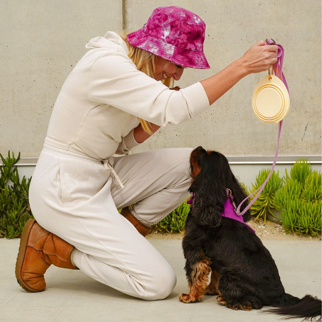 Tilley + Me collapsible double pet bowl shown with a dog and owner in a outdoor setting
