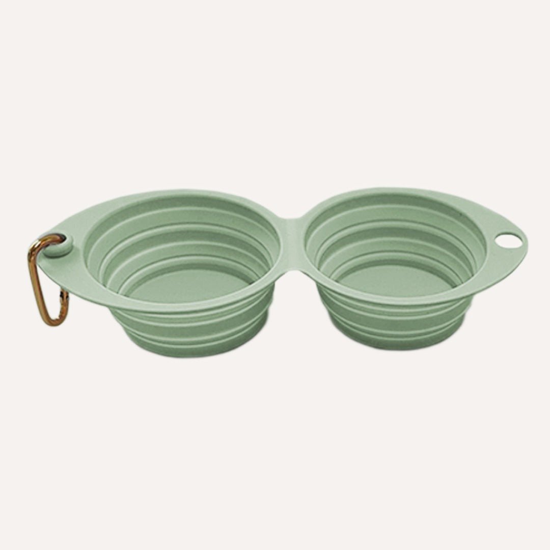 Collapsible Double Pet Bowl in Mint Green with Convenient Carabiner for Travel and Outdoor Use