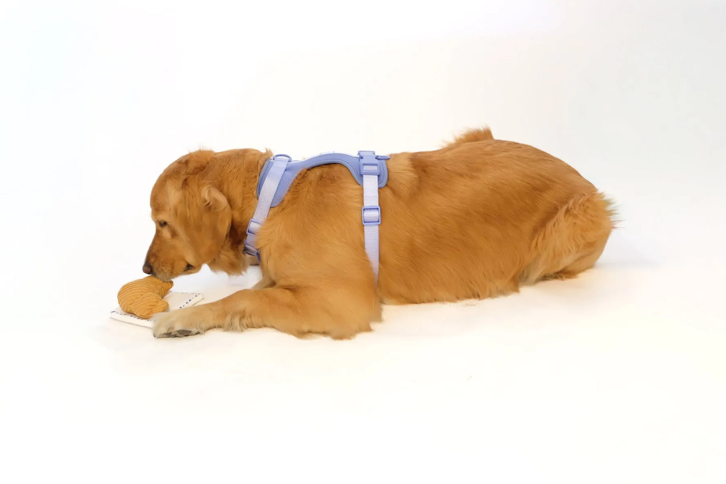 Come Here Buddy - Croissant Snuffle Toy for Dogs Premium Mental Enrichment - Dog Toys