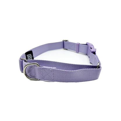 Come Here Buddy - Martingale Dog Collar - Dog Collars