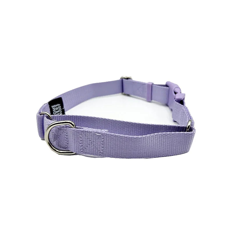 Come Here Buddy - Martingale Dog Collar - Dog Collars