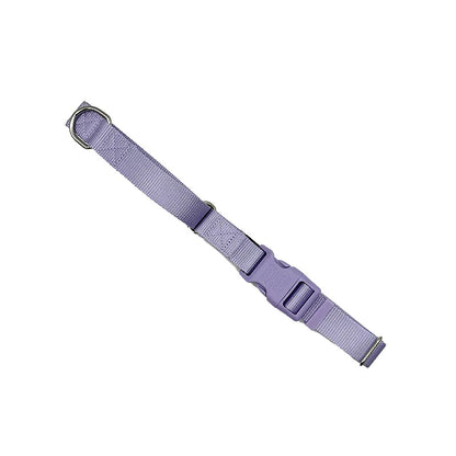 Come Here Buddy - Martingale Dog Collar - Dog Collars