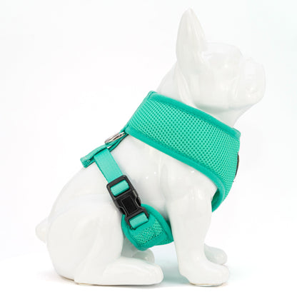 EcoBark Mint Turquoise Dog Harness - Over-the-Head Soft Mesh
