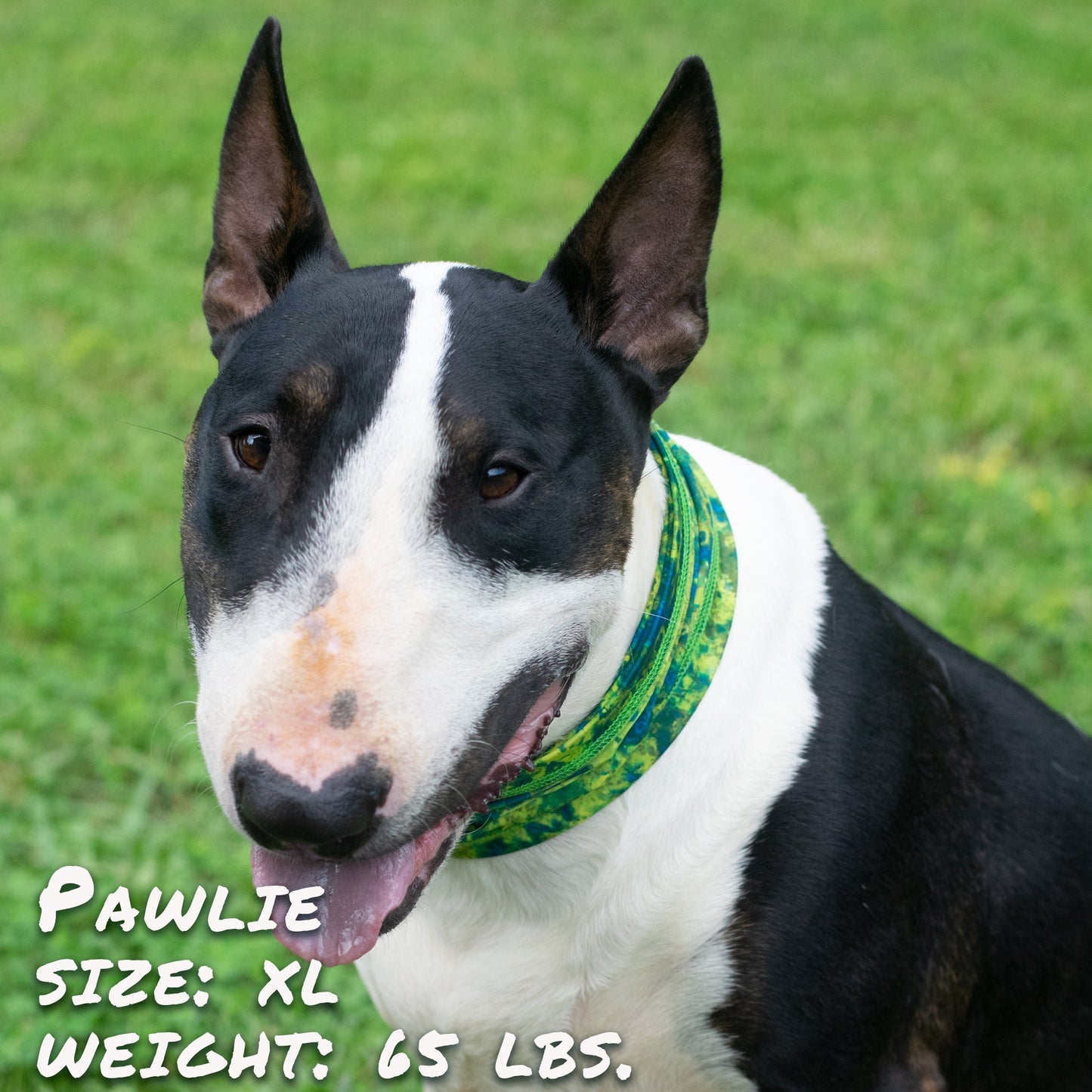 Comfortable bandana for big dogs in vibrant colors, perfect for stylish outings and playtime