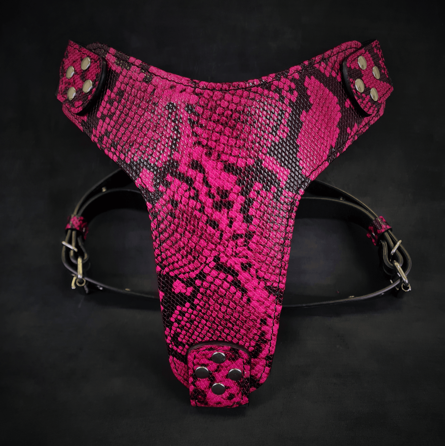 Stylish and comfortable designer dog harness in pink snake print, perfect for small breeds.