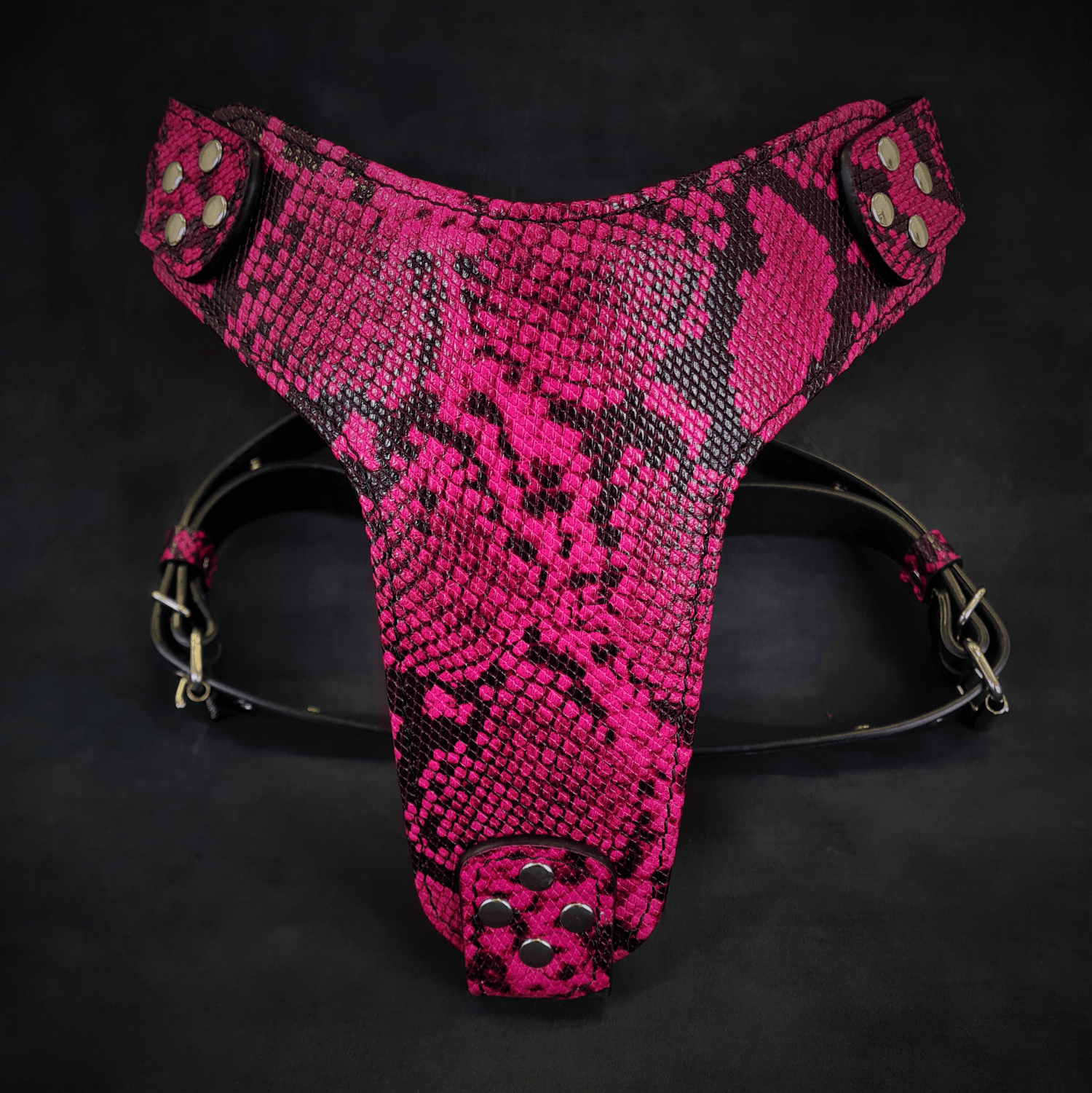 Stylish and comfortable designer dog harness in pink snake print, perfect for small breeds.