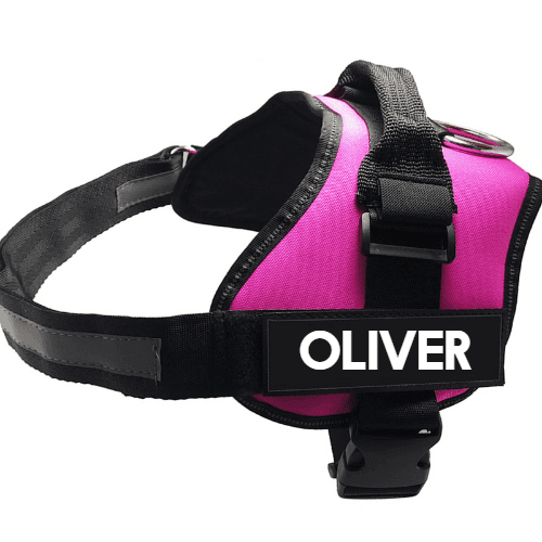 Purrfect Pet Kingdom adjustable no-pull comfortable dog harness for walking in pink with black straps